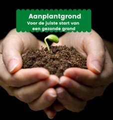 Vivimus - aanplantgrond 