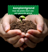 vivimus-aanplantgrond