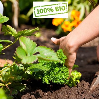 Potgrond Biologisch