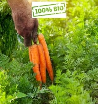 Tuinaarde onbemest Biologisch