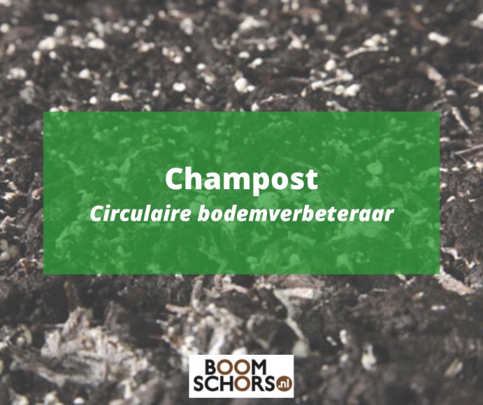 Champost | Circulaire bodemverbeteraar voor uw tuin