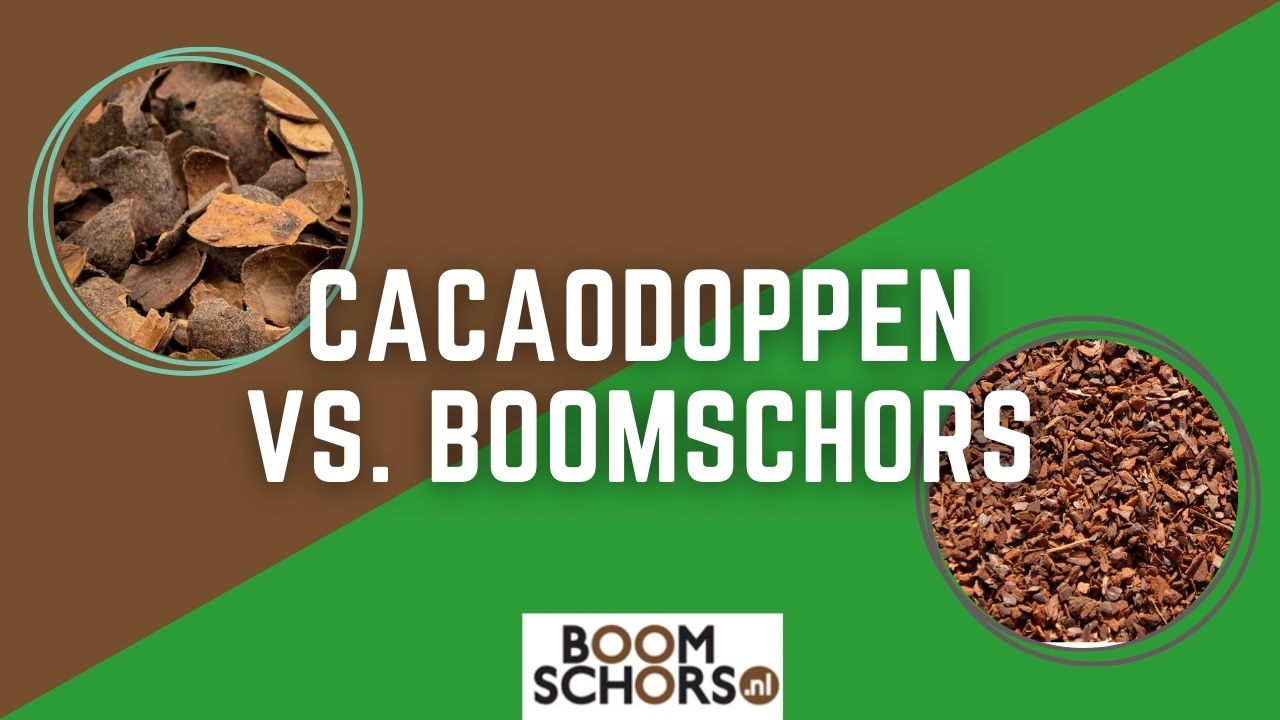 Verschil tussen cacaodoppen en boomschors: wat is de beste bodembedekker?