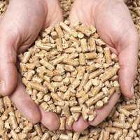 Houtpellets als alternatieve brandstof