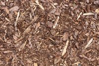 Is boomschors goed voor de tuin? Is boomschors goed voor de tuin?