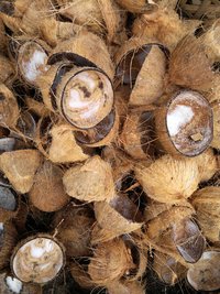 Vergelijking tussen boomschors en kokos Vergelijking tussen boomschors en kokos