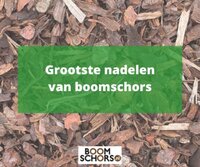 Grootste nadelen van boomschors Grootste nadelen van boomschors