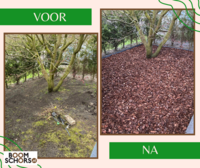 Inspiratie Tuinproject - Voor en Na Foto’s