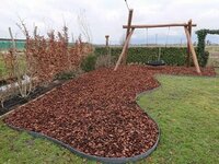 5 manieren om boomschors in uw tuin te gebruiken