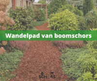 Wandelpad van boomschors