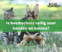 Is boomschors in de tuin veilig voor honden en katten? Is boomschors in de tuin veilig voor honden en katten?