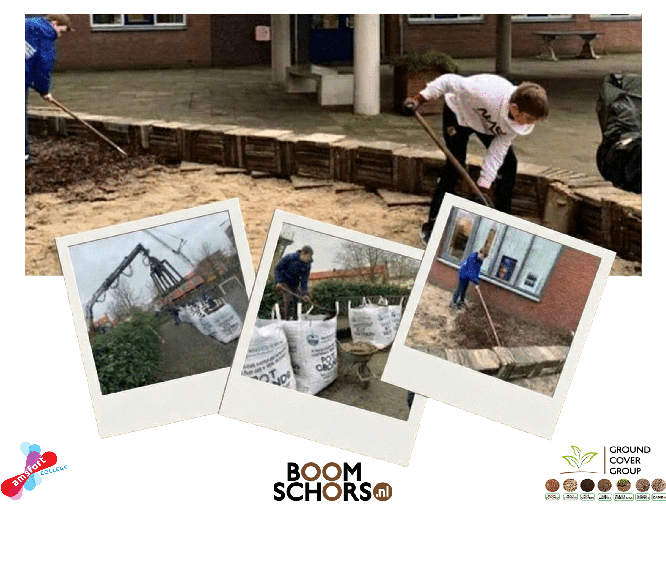 Vergroenen schoolplein - Boomschors.nl