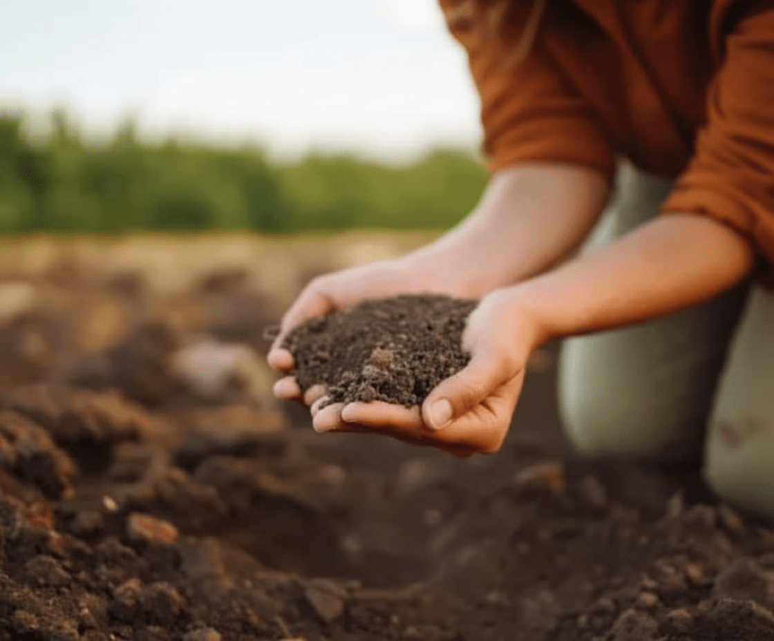 De beste tijd om tuinaarde toe te voegen aan uw tuin | Tips - Boomschors.nl