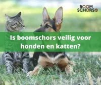 Is boomschors in de tuin veilig voor honden en katten? - Boomschors.nl