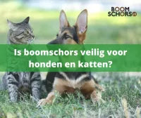 Is boomschors in de tuin veilig voor honden en katten?