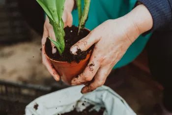 Potgrond & tuinaarde kopen op Tuinaarde.nl - Boomschors.nl