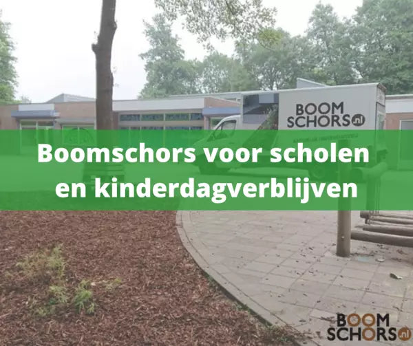 Boomschors bij scholen en kinderdagverblijven