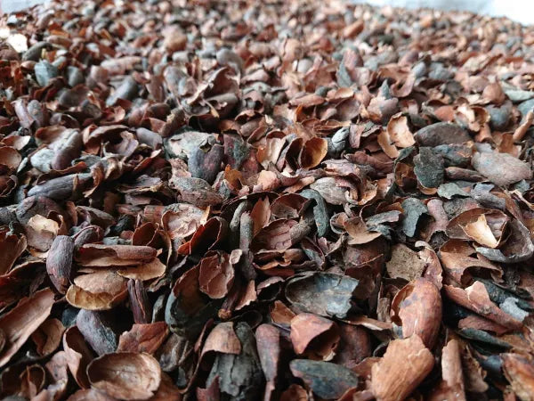 Planten beschermen met cacaodoppen