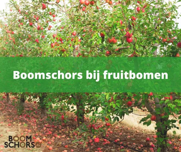 Boomschors bij fruitbomen