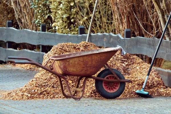 Hoe verwijder je boomschors? - Boomschors.nl