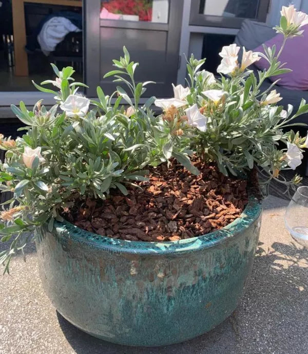 Boomschors in plantenbakken