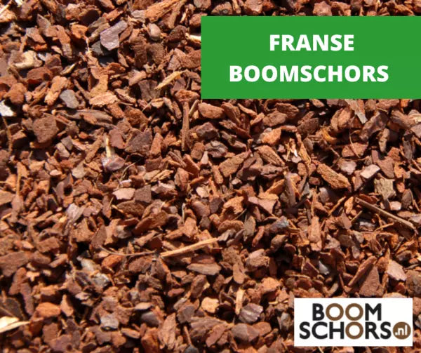 Franse Boomschors | Veelgestelde Vragen én Antwoorden