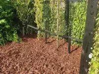 Boomschors - Een effectieve bodembedekker tegen onkruid - Boomschors.nl