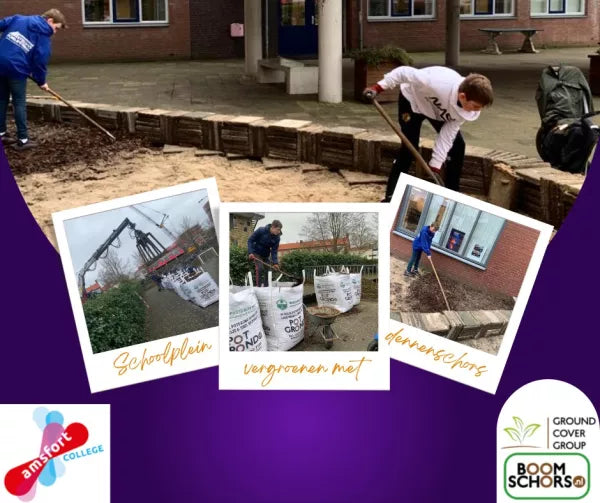 Vergroenen schoolplein