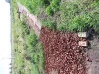 Blotevoetenpad met boomschors of houtsnippers