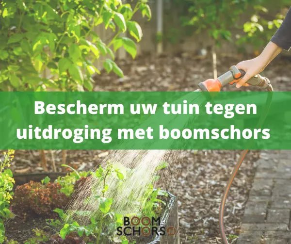 Bescherm uw tuin tegen uitdroging met boomschors - Boomschors.nl