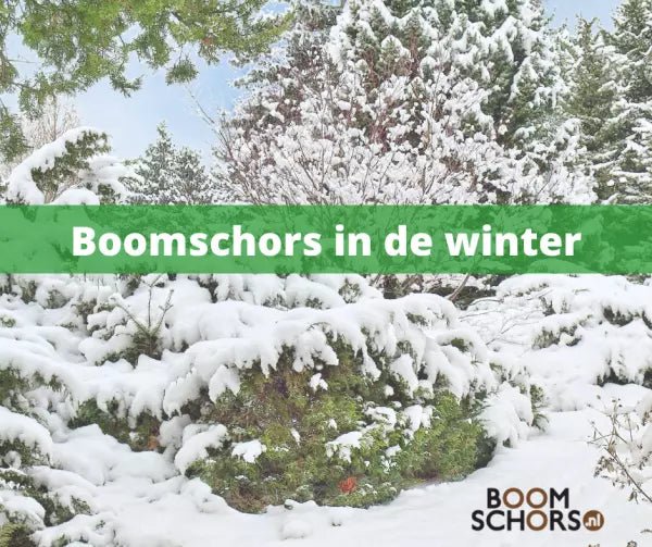Boomschors in de winter - bescherming voor uw tuin - Boomschors.nl