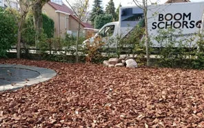 Wat is de oorsprong van Frans boomschors?