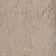 Collection image for: Zand