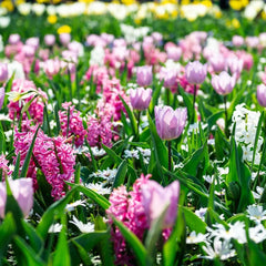 Meststoffen - Boomschors.nl