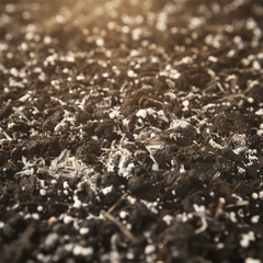 Bodemverbeteraars - Boomschors.nl