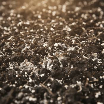 Bodemverbeteraars - Boomschors.nl