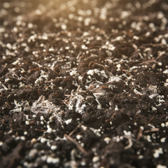 Collection image for: Bodemverbeteraars