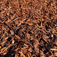 Collection image for: Dennenschors