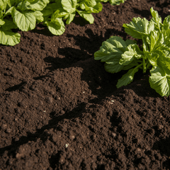Potgrond - Boomschors.nl