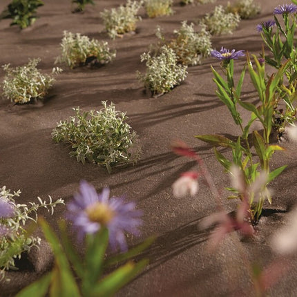 Biologisch Worteldoek Per Meter