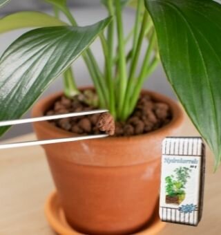 Hydrokorrels 8-16mm - 40L