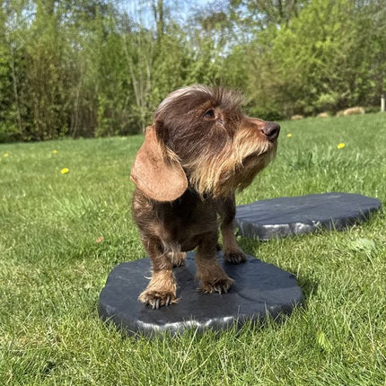 Japanse Stapsteen 37 x 30 cm - Boomschors.nl