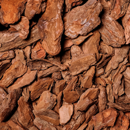 Bojardin Franse Boomschors Premium 25-45mm