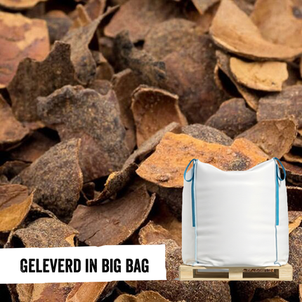 Cacaodoppen in Big Bag