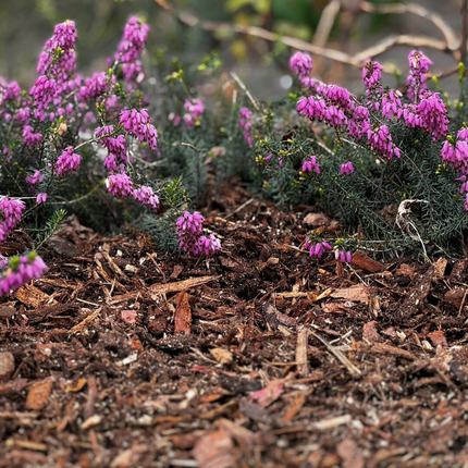 Houtmulch in Big Bag
