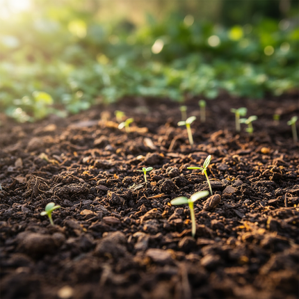 Bemeste Biologische Tuinaarde in Big Bag