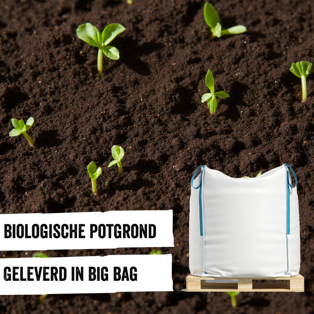 Biologische Potgrond in Big Bag