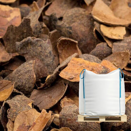 Cacaodoppen in Big Bag