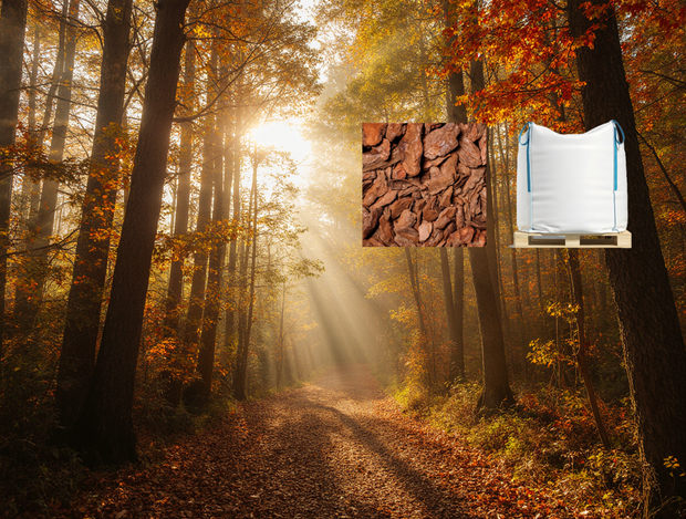Banner image for: <h1>Herfst aanbieding!</h1>
