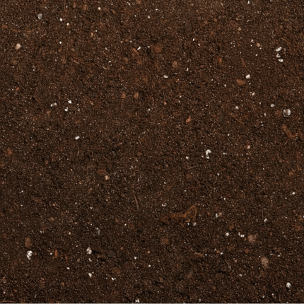 Bojardin Turfvrije Potgrond in Big Bag