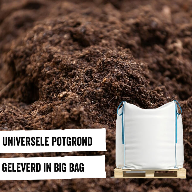 Universele Potgrond in Big Bag